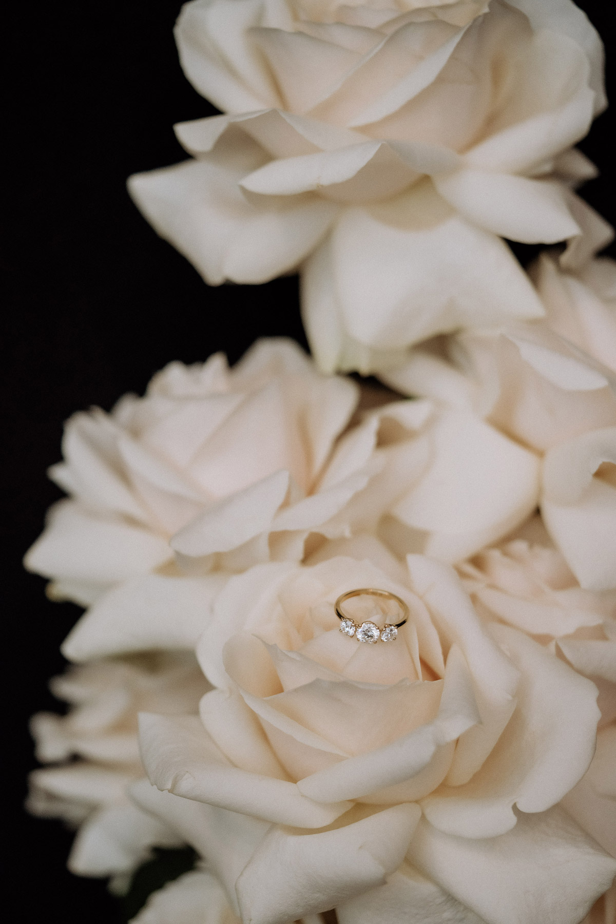 Verlobungsring liegt auf Rosen