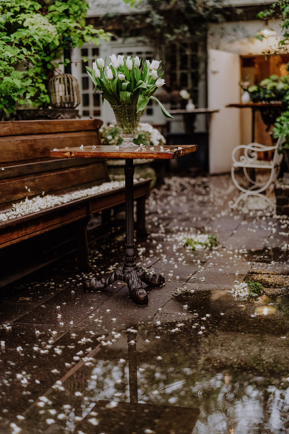 Location Berlin mit Regenpfütze und Blütenblättern auf Boden