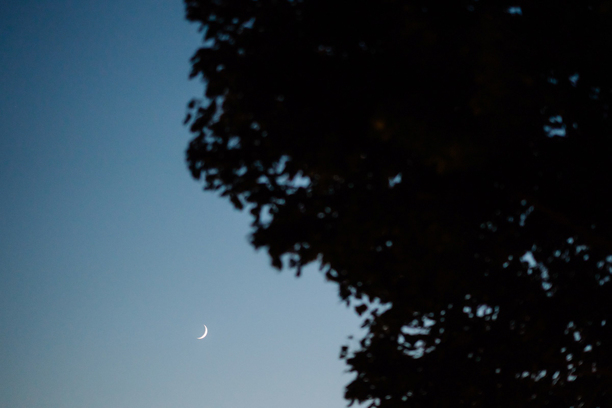 Mond am Hochzeitsabend
