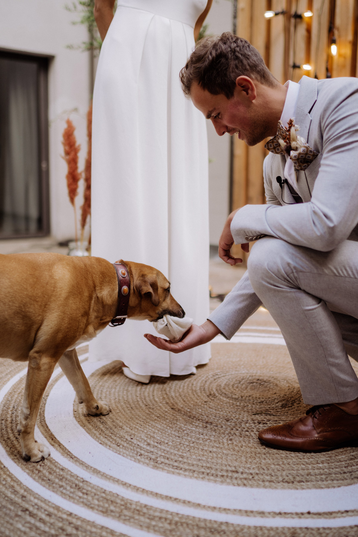Heiraten mit Hund, der die Ringe überreicht