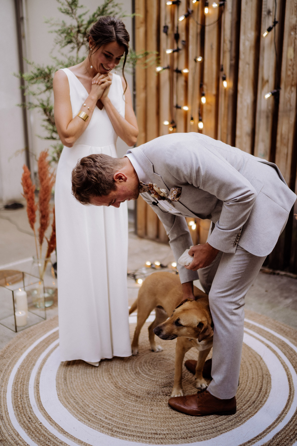 Hund als Ringträger bei der Hochzeit: Süßer und überraschender Moment während der Trauzeremonie