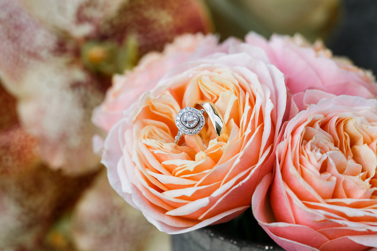 Eheringe in Weißgold liegen auf Rosen in Apricot